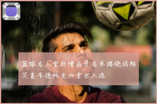 篮球名人堂新增成员名单揭晓诺维茨基韦德帕克加索尔入选